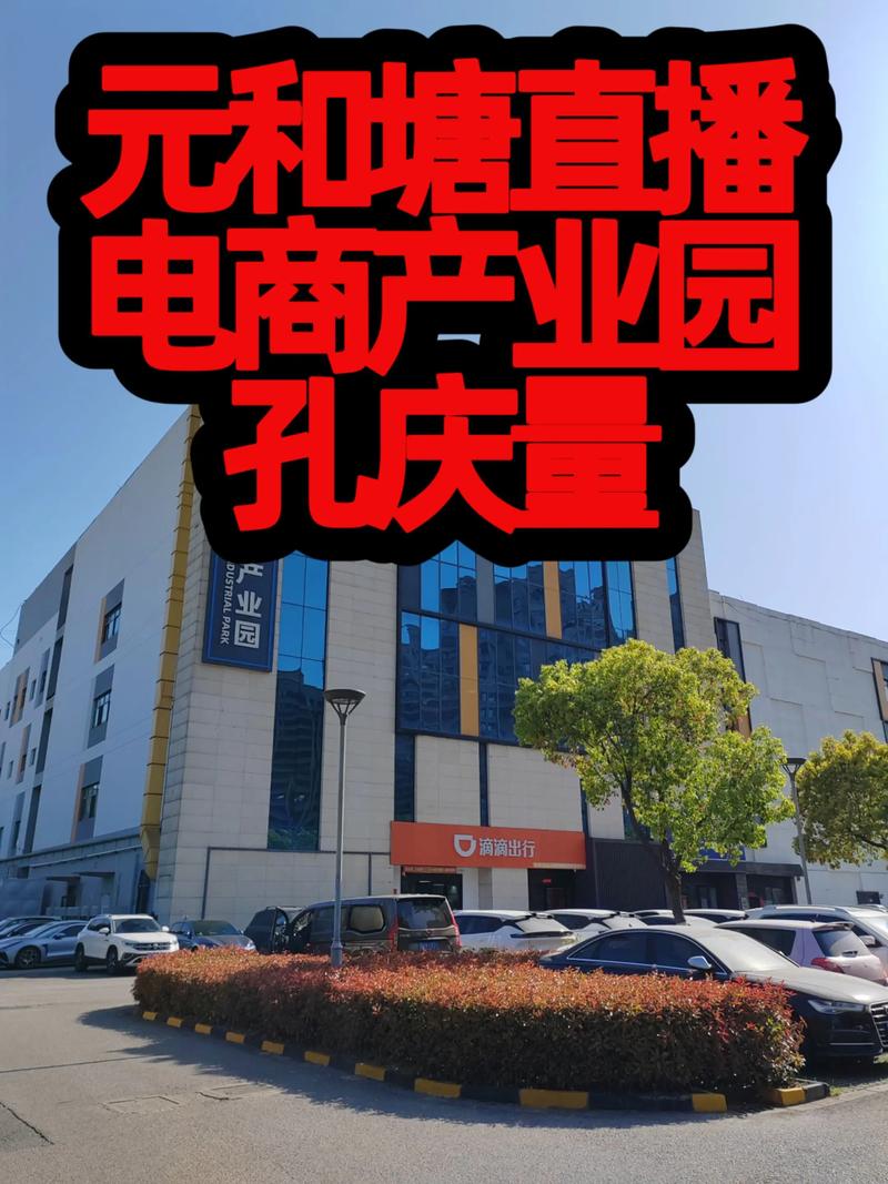 苏州电商公司:紧跟数字化浪潮共绘未来发展蓝图