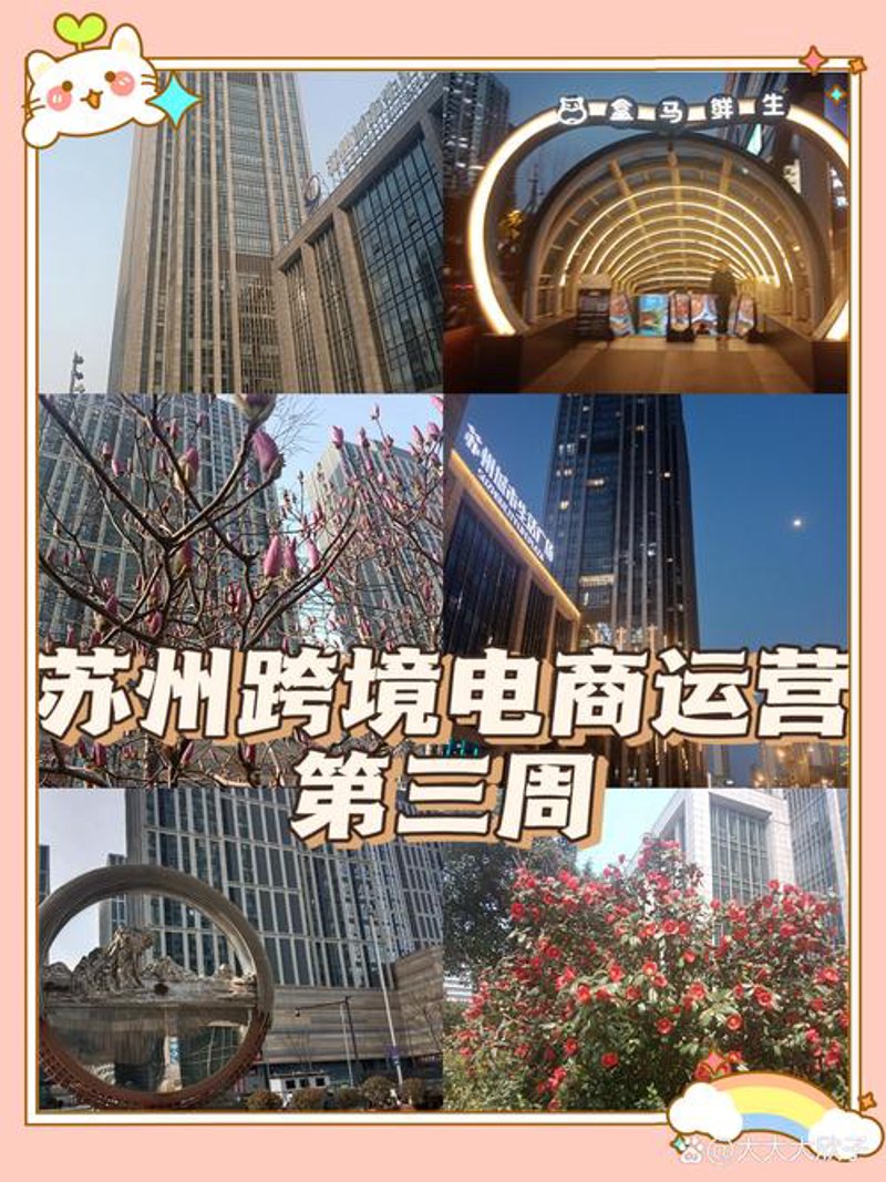 电商运营服务:选择对的伙伴,让生意更上一层楼